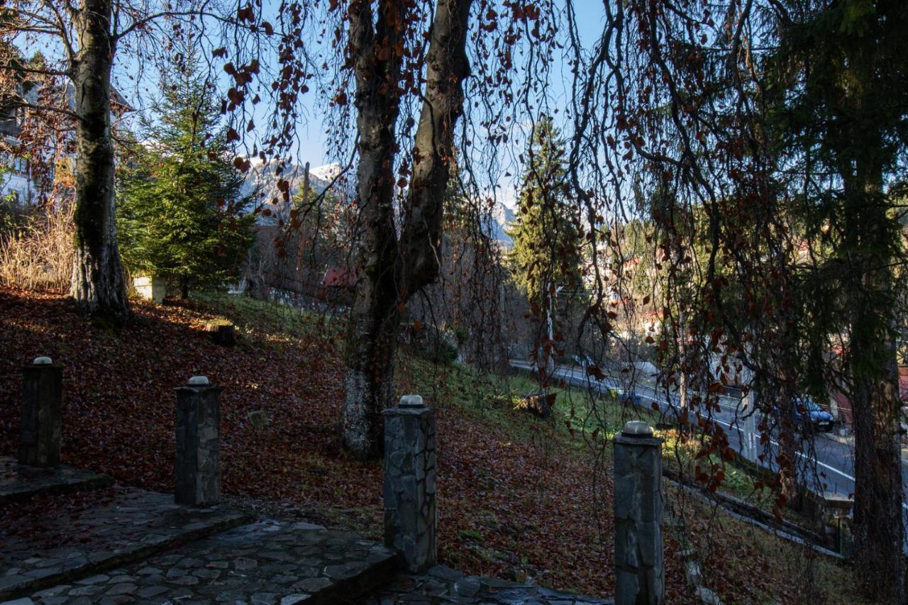 Vila Retezat Sinaia Exterior photo