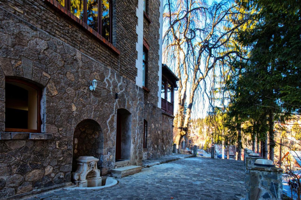 Vila Retezat Sinaia Exterior photo