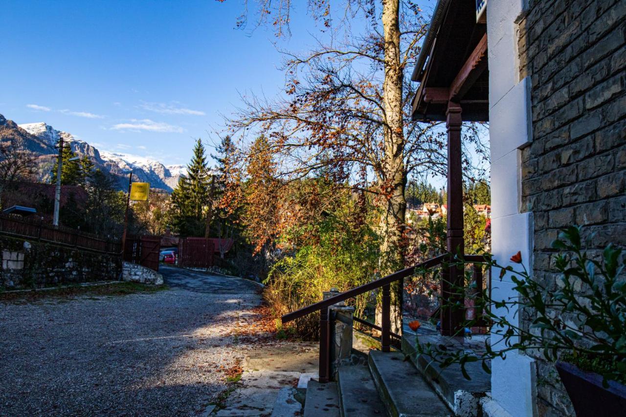 Vila Retezat Sinaia Exterior photo